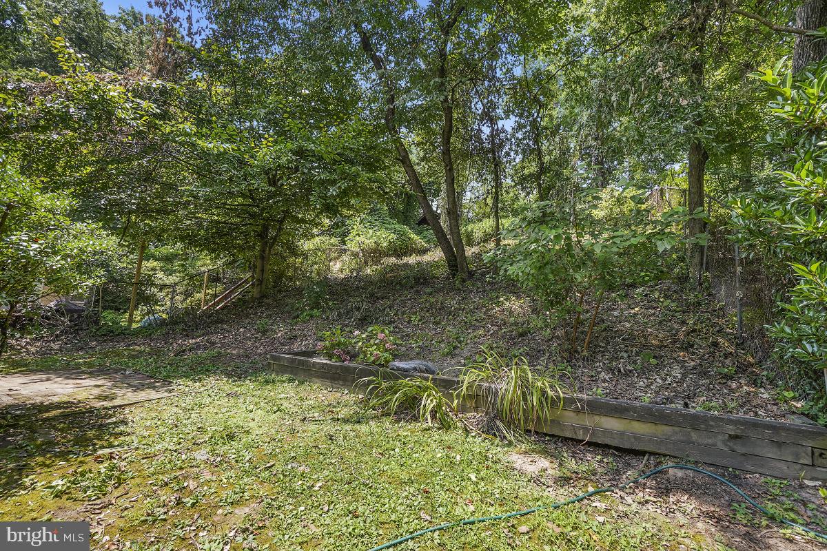 TAKOMA PARK - Residential