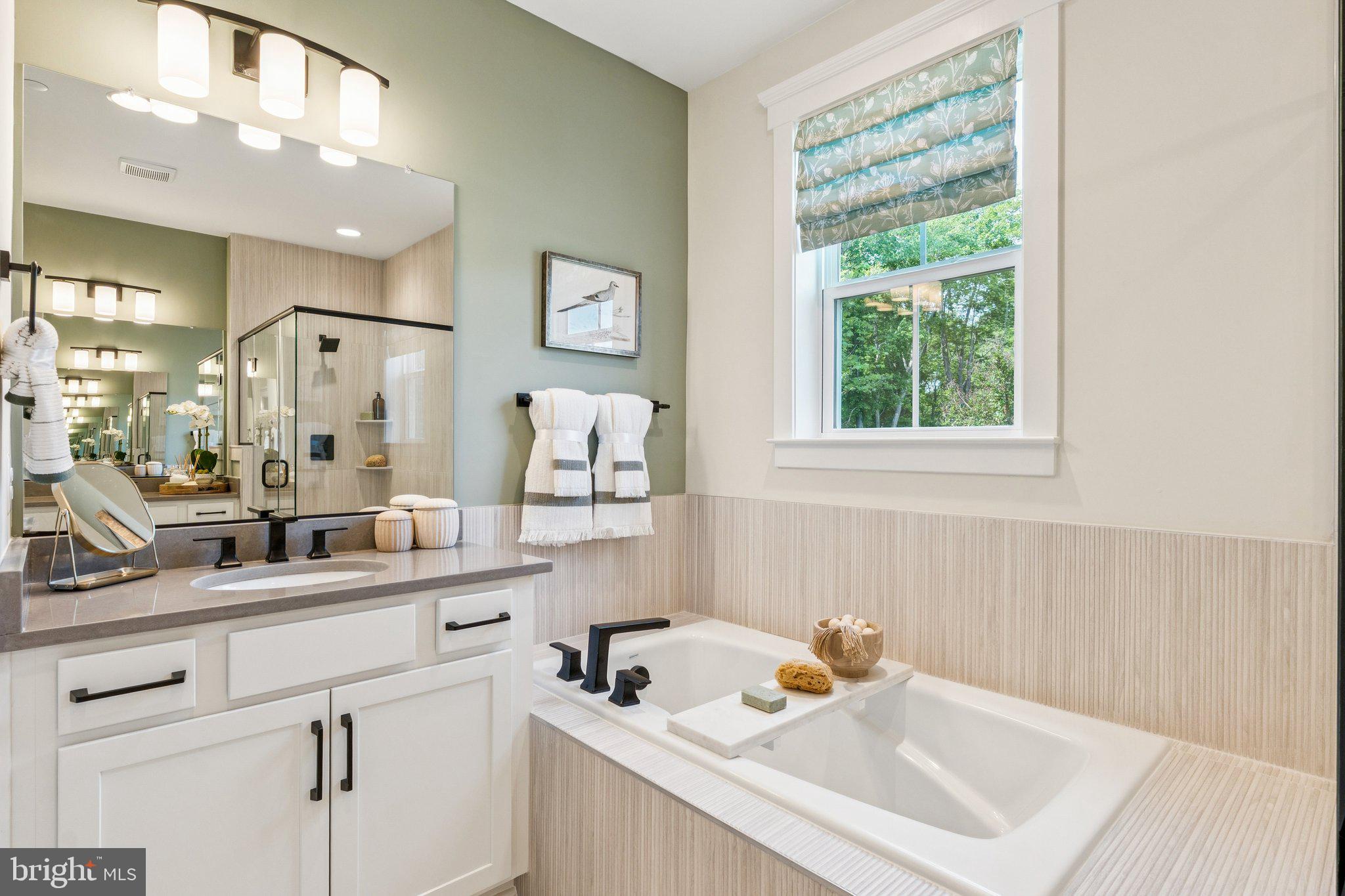LAKESIDE AT TRAPPE - Residential