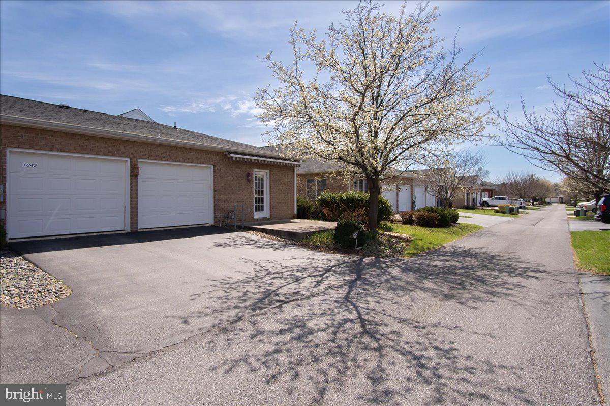GREENWICH PARK - Residential