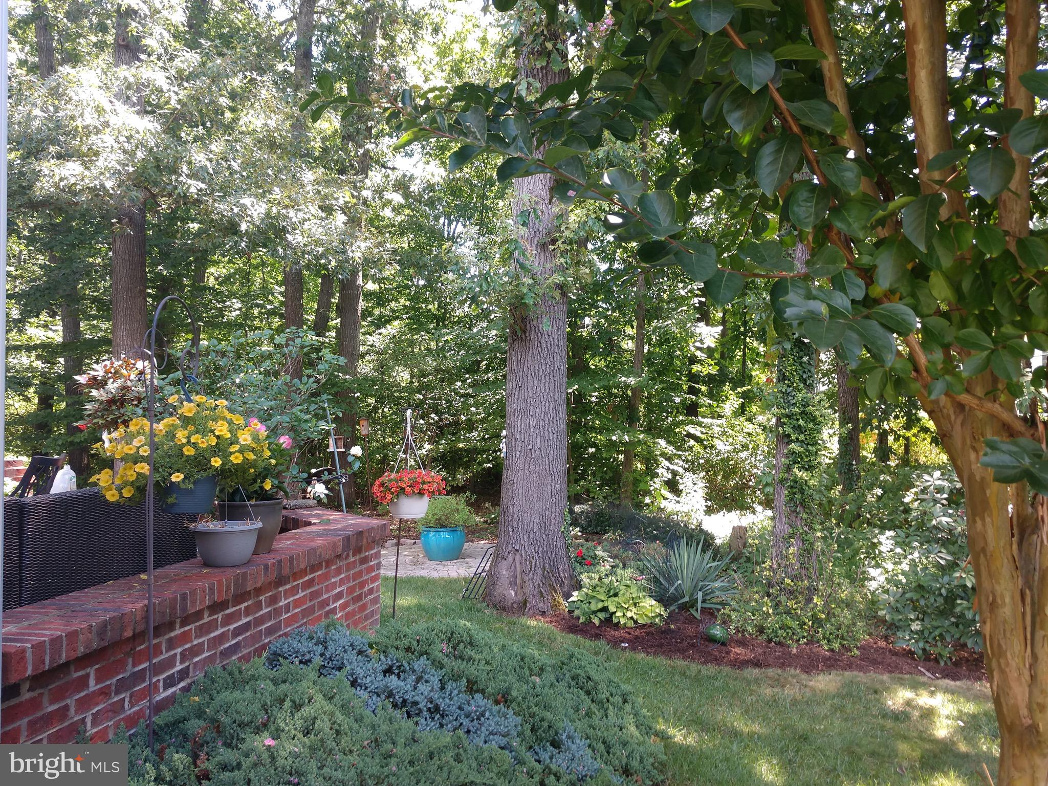 COUNTRYSIDE - Residential