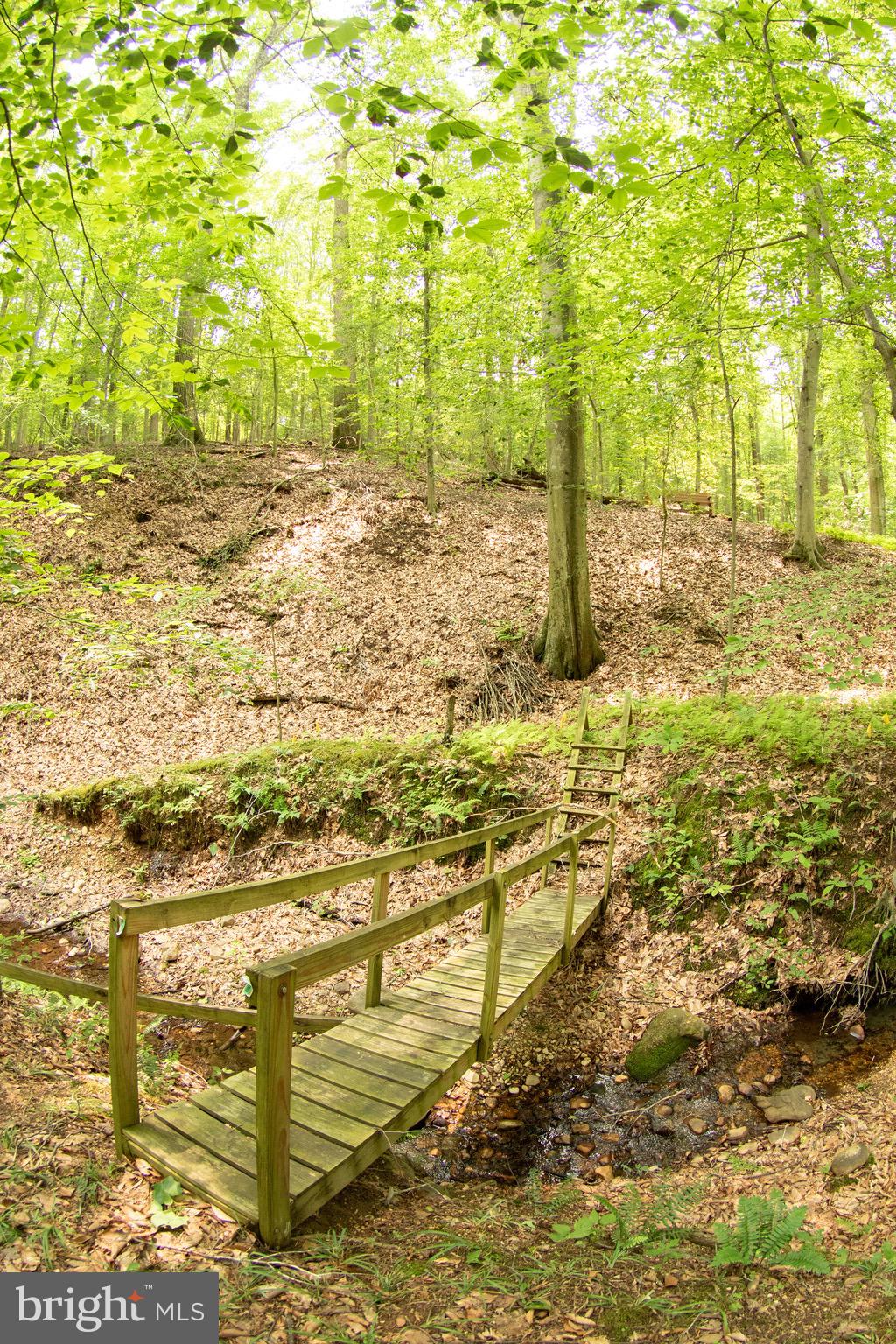 MOYAONE RESERVE - Residential