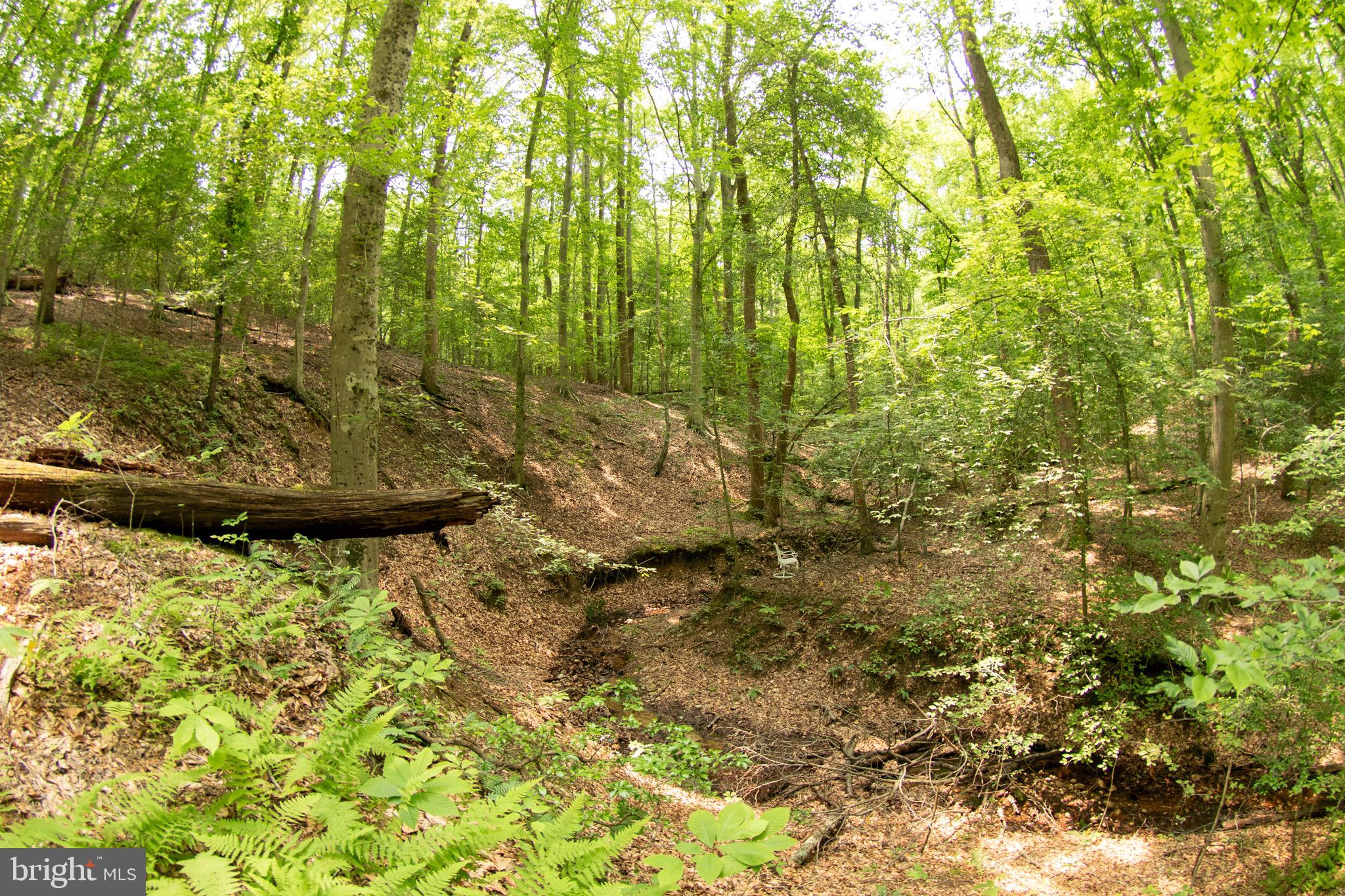 MOYAONE RESERVE - Residential