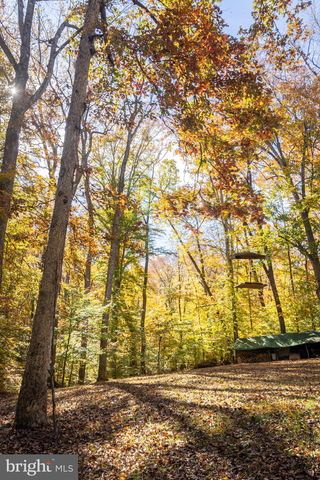 MOYAONE RESERVE - Residential