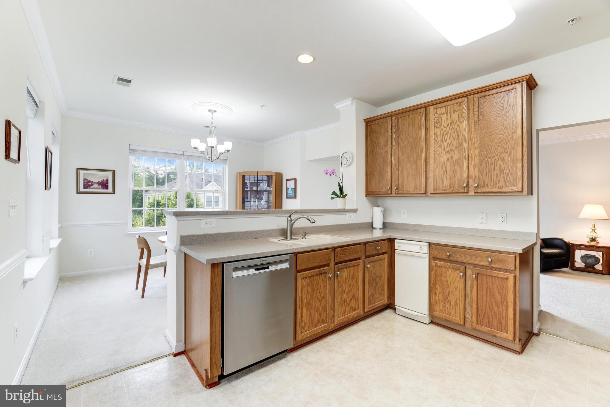 CENTRAL PARKE AT LOWES ISLAND - Residential