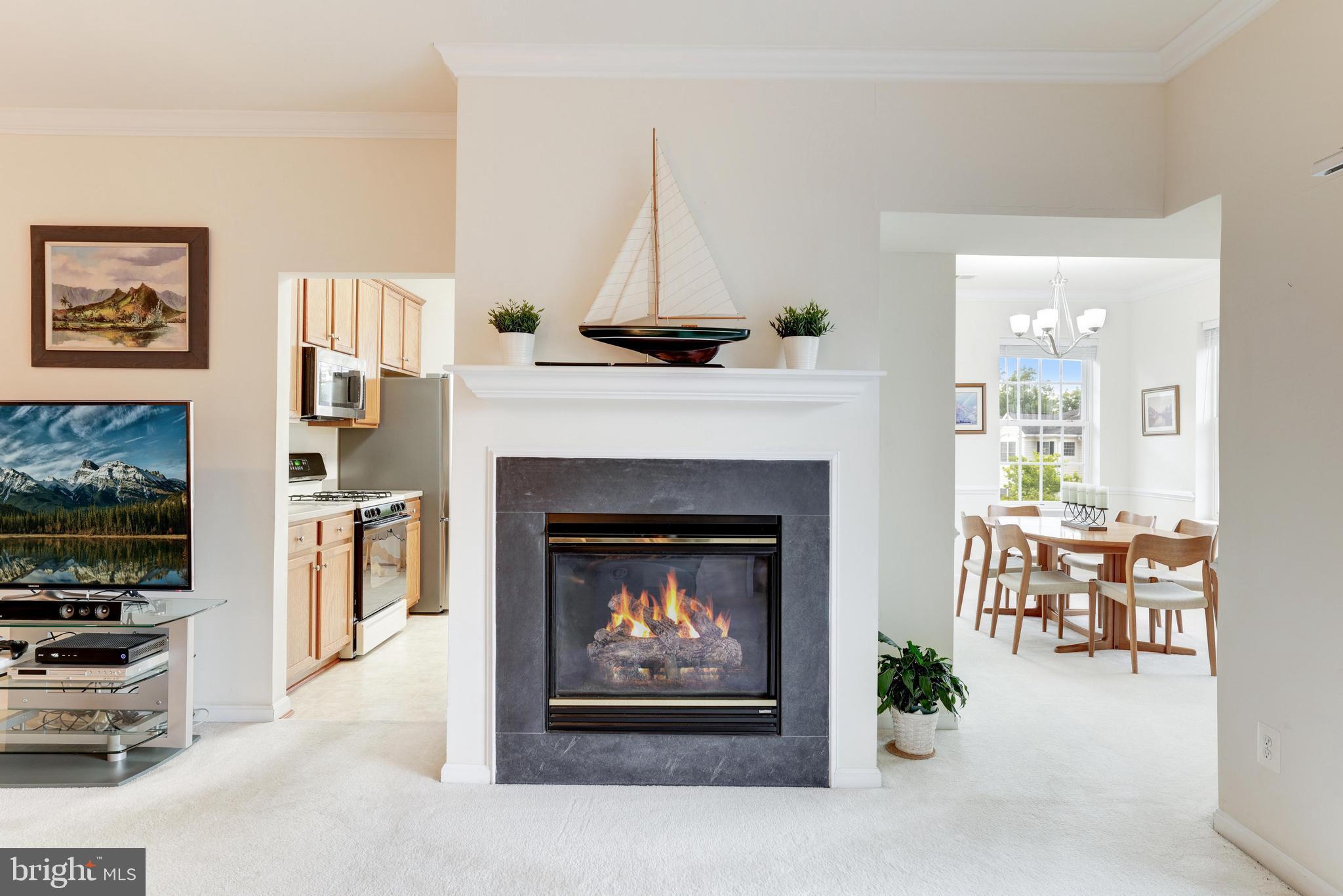 CENTRAL PARKE AT LOWES ISLAND - Residential