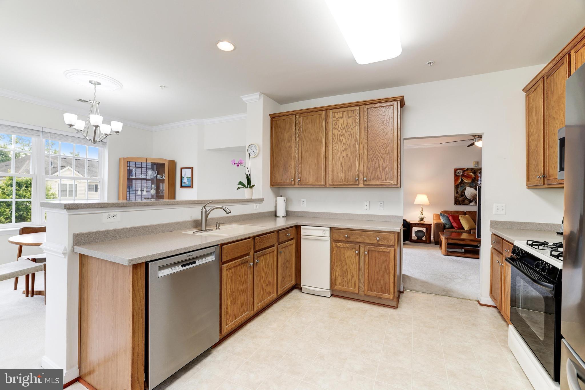 CENTRAL PARKE AT LOWES ISLAND - Residential