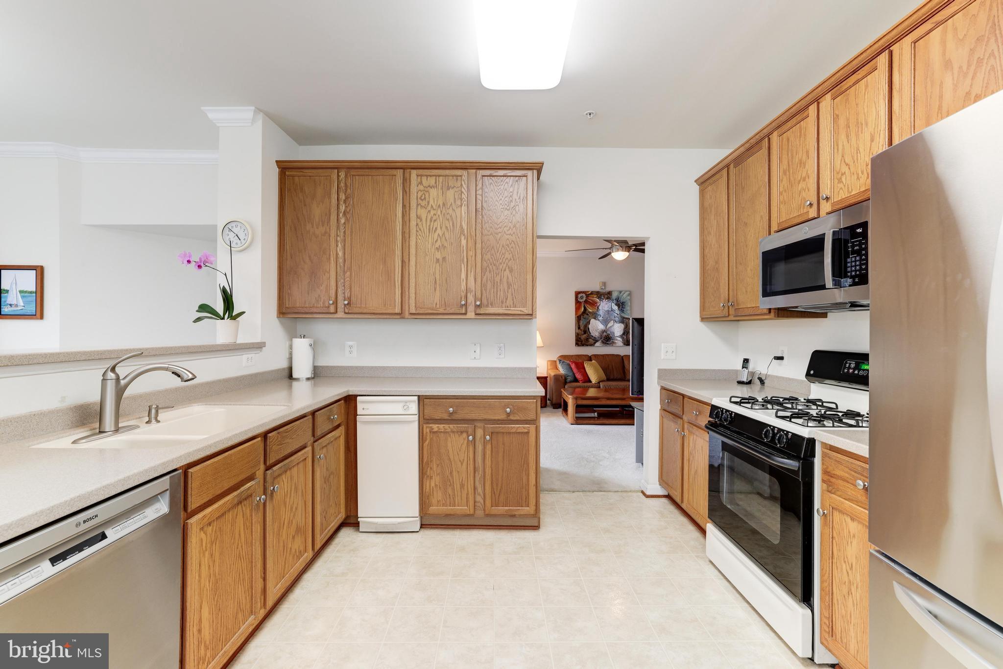 CENTRAL PARKE AT LOWES ISLAND - Residential