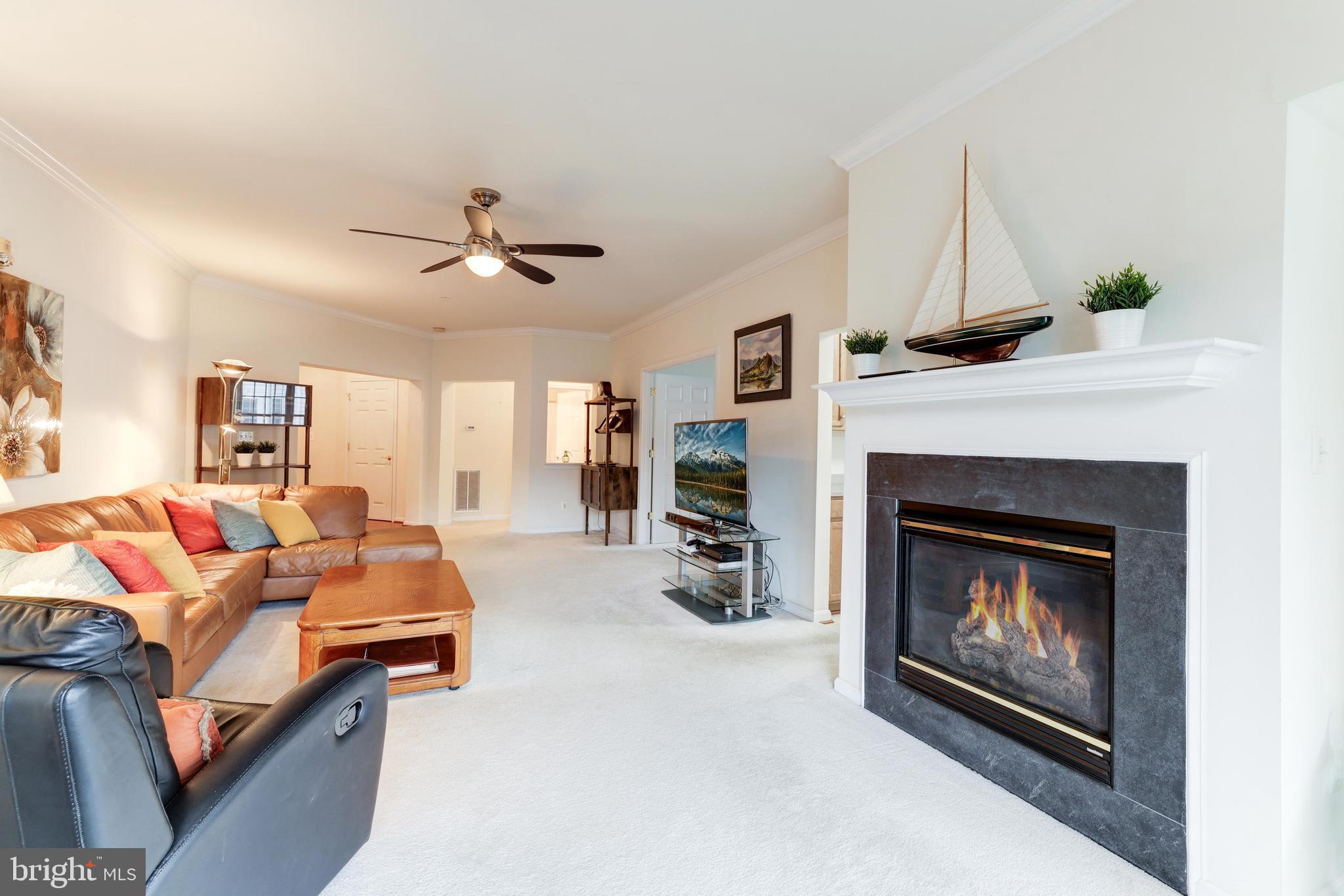 CENTRAL PARKE AT LOWES ISLAND - Residential