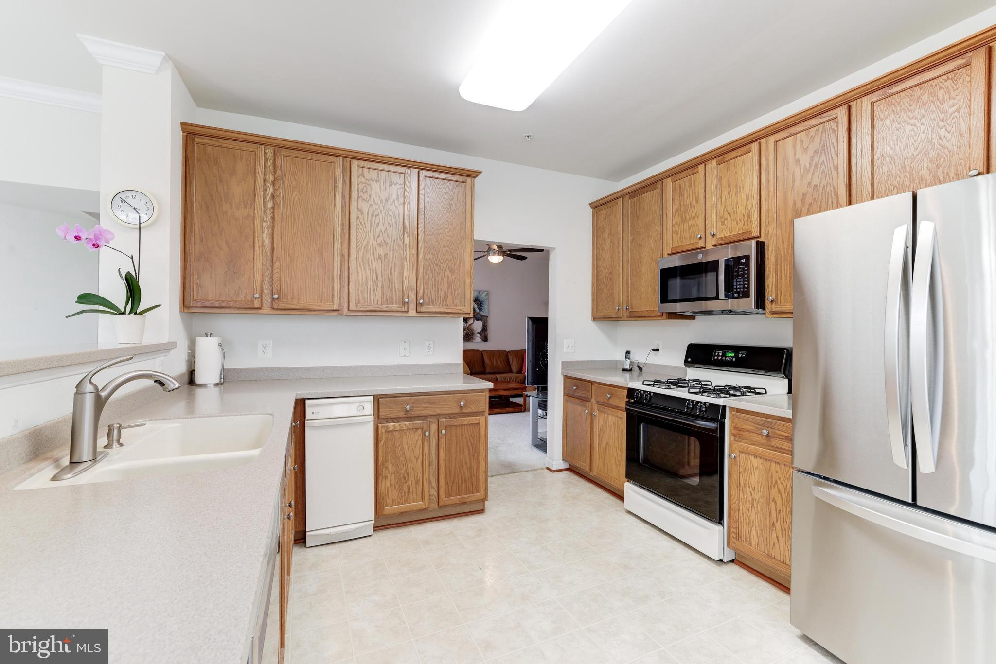 CENTRAL PARKE AT LOWES ISLAND - Residential