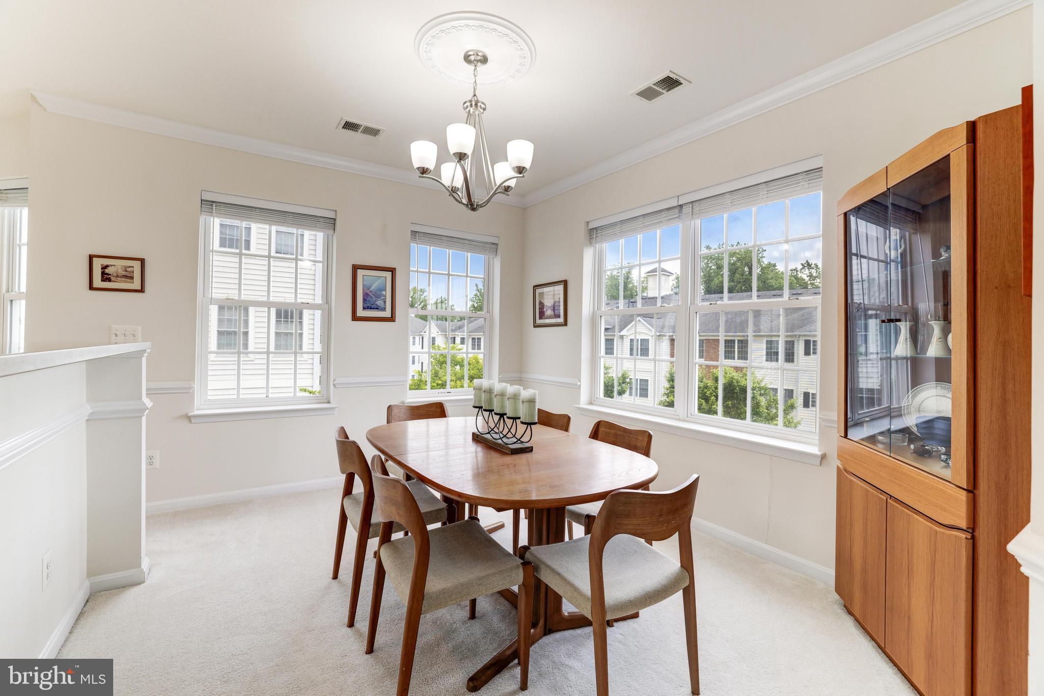 CENTRAL PARKE AT LOWES ISLAND - Residential