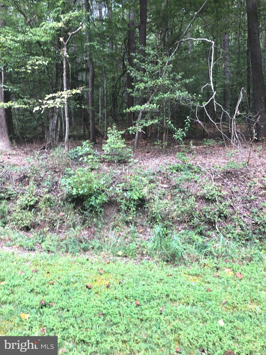 Seize the opportunity to own a piece of paradise where you can build your forever home or a peaceful getaway. Embrace the beauty of the Wicomico River, the charm of Heathsville, and the serenity of wooded living. Don't miss out on this chance to make your dreams a reality. Quick walk to the community boat ramp and pier.