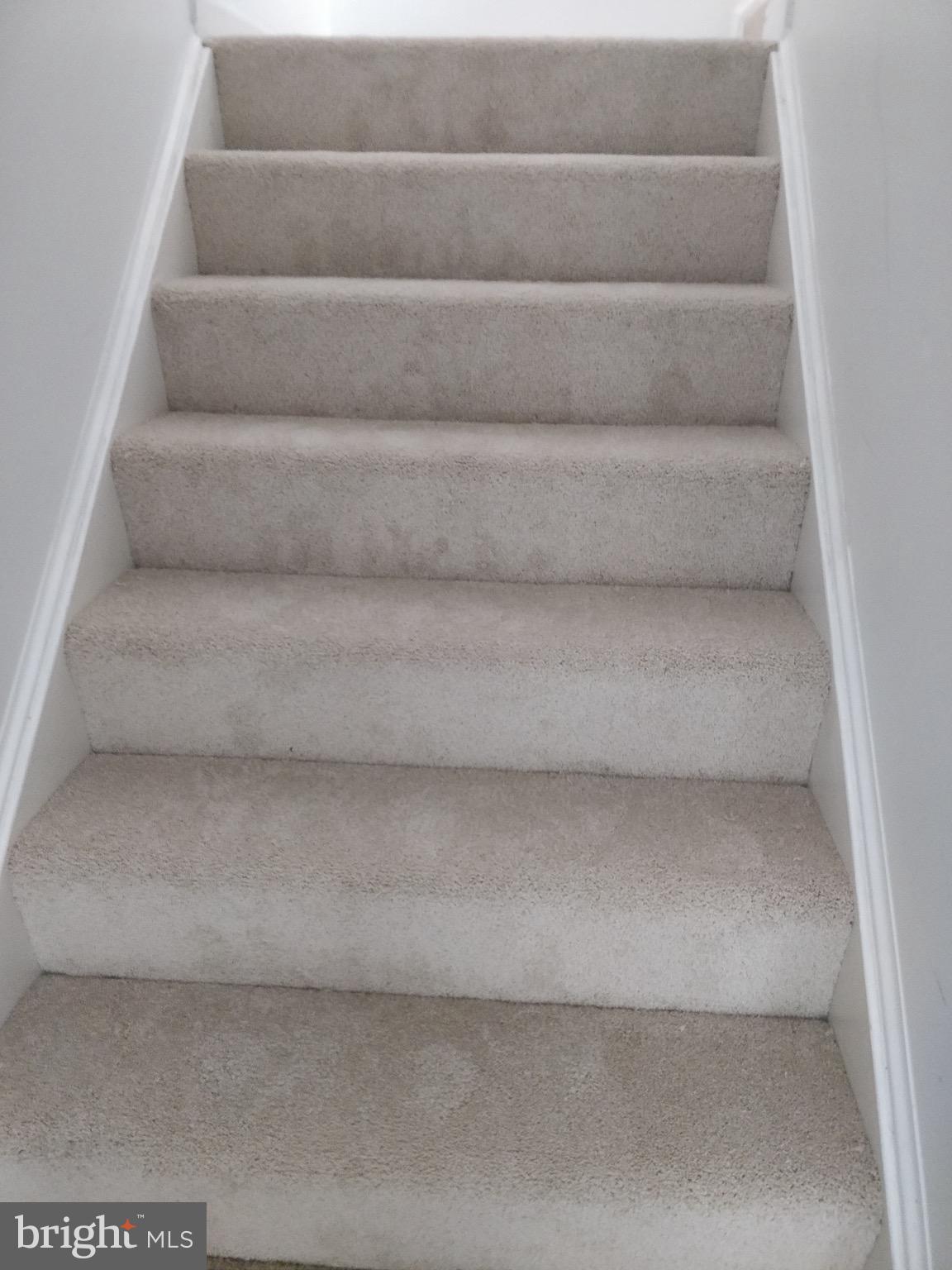 BELMONT STATION - Residential Lease