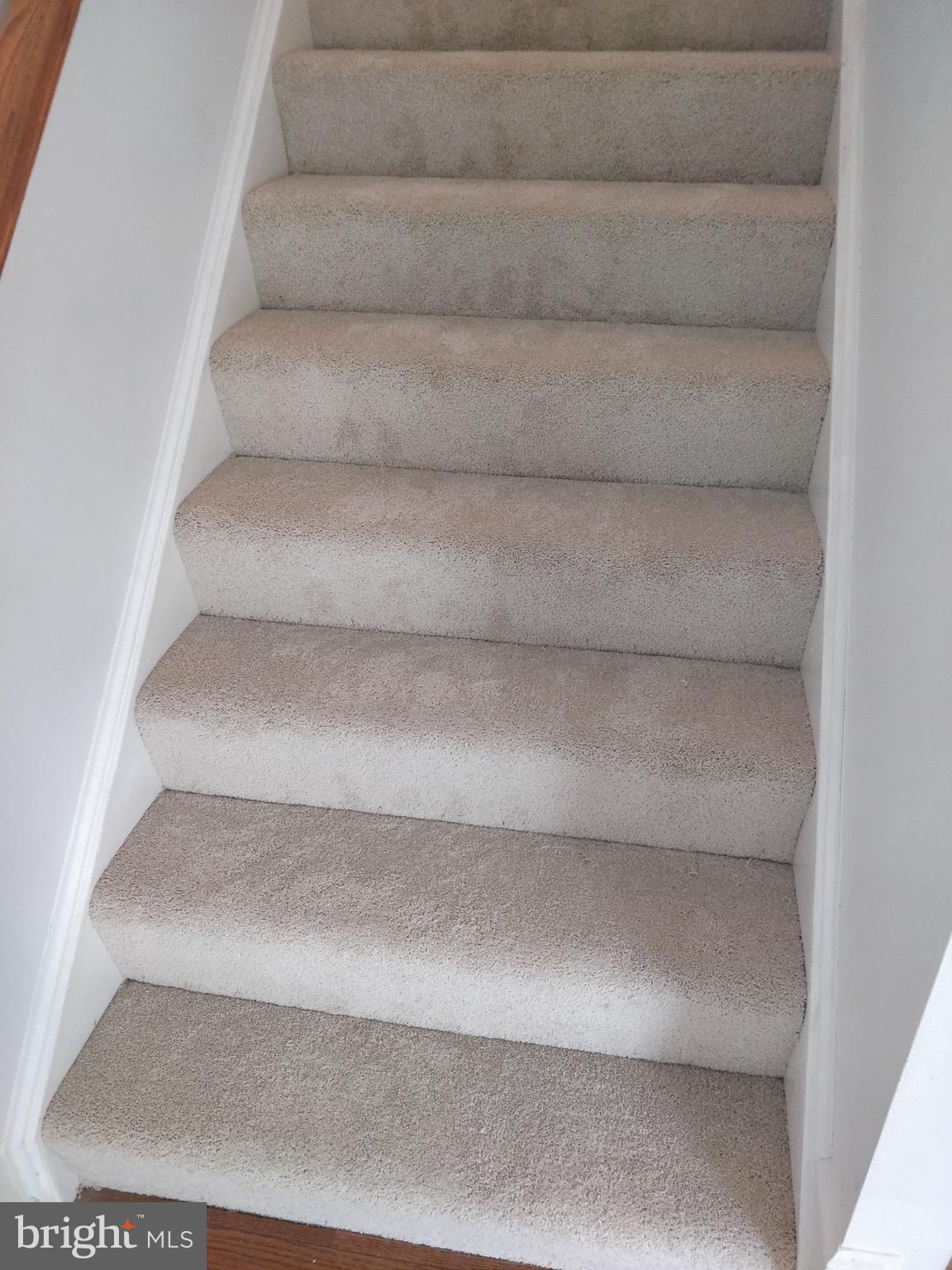 BELMONT STATION - Residential Lease