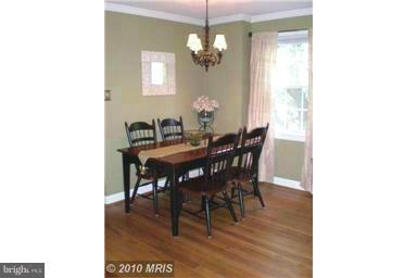 COMMONS OF ARLINGTON - Residential Lease