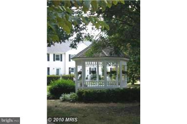 COMMONS OF ARLINGTON - Residential Lease