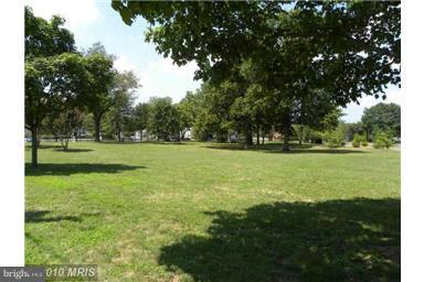 COMMONS OF ARLINGTON - Residential Lease