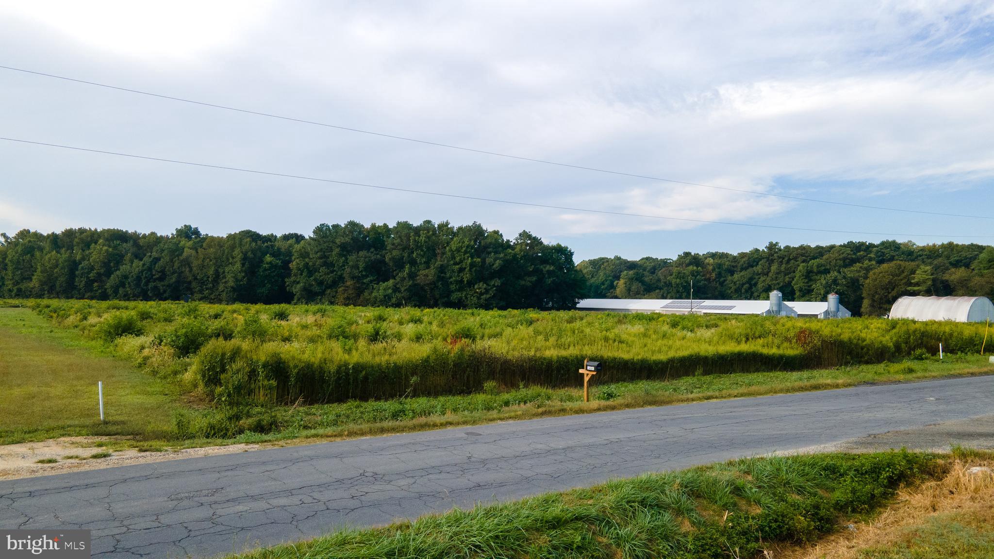 LOT 3 BLANCHARD ROAD