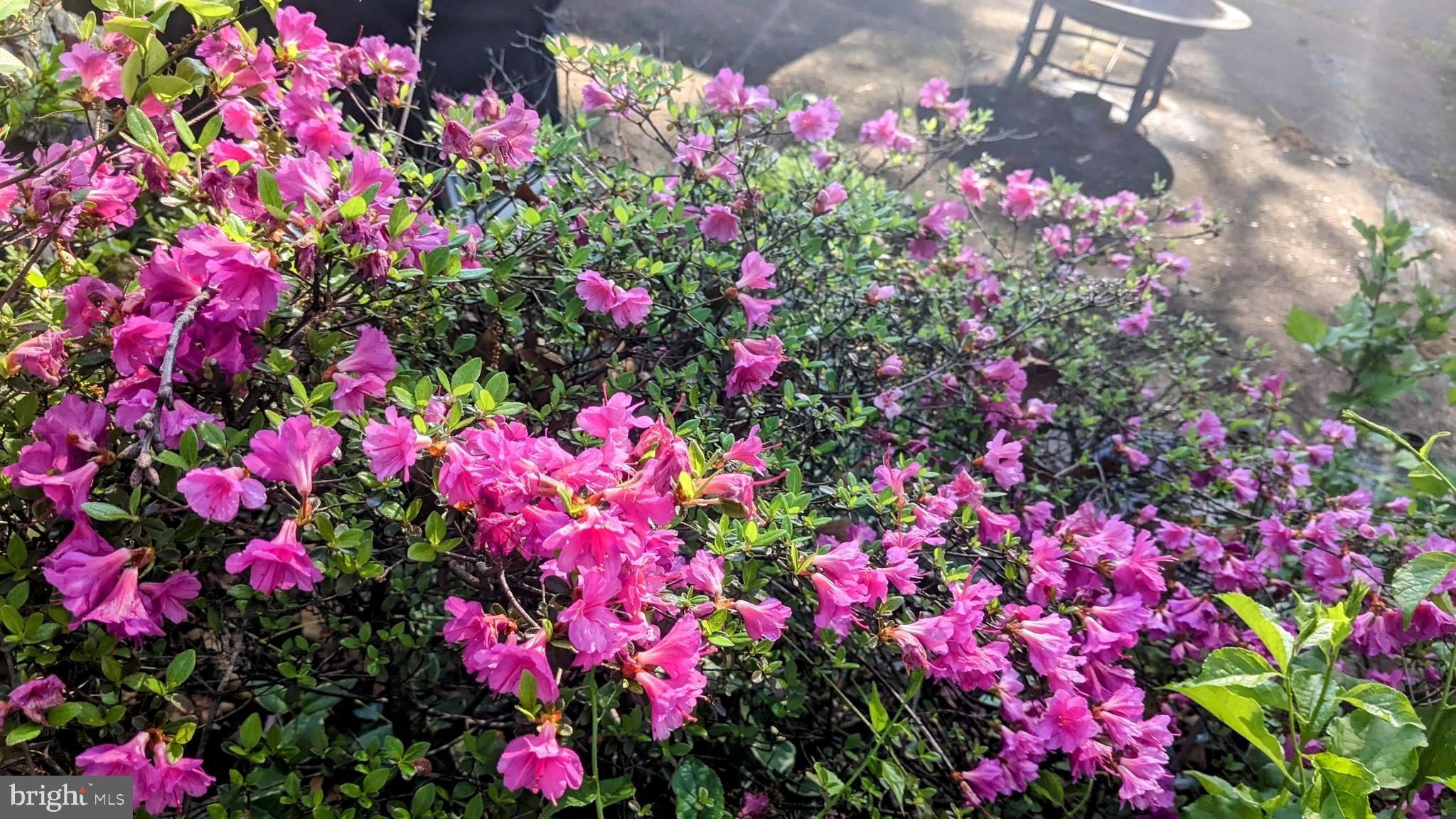 GREEN HAVEN - Residential