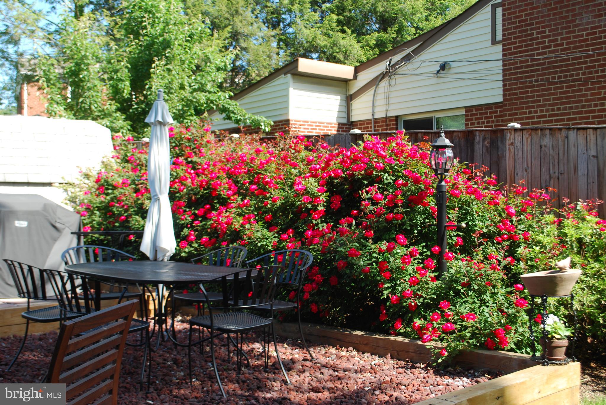 DONNEYBROOK - Residential