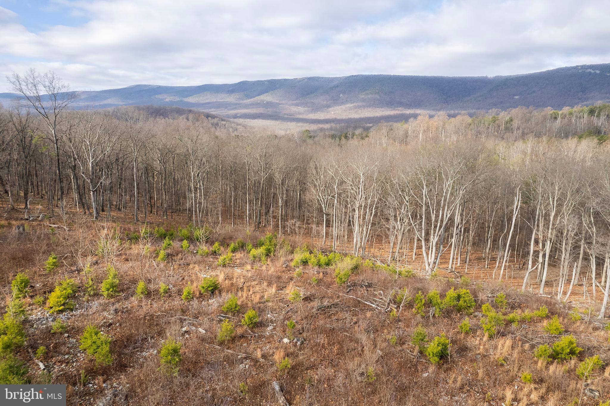 BACK MOUNTAIN RIDGE ESTATES - Land