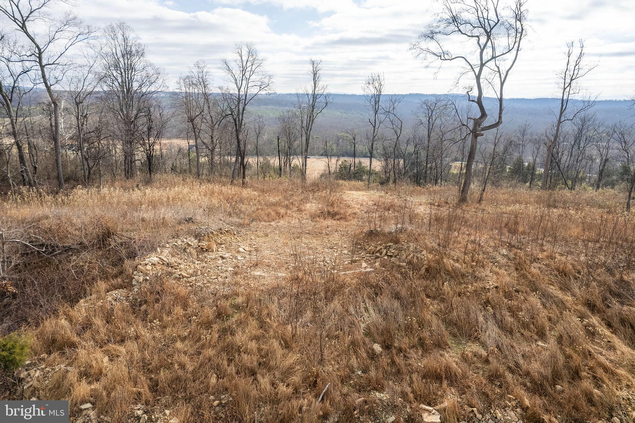 BACK MOUNTAIN RIDGE ESTATES - Land