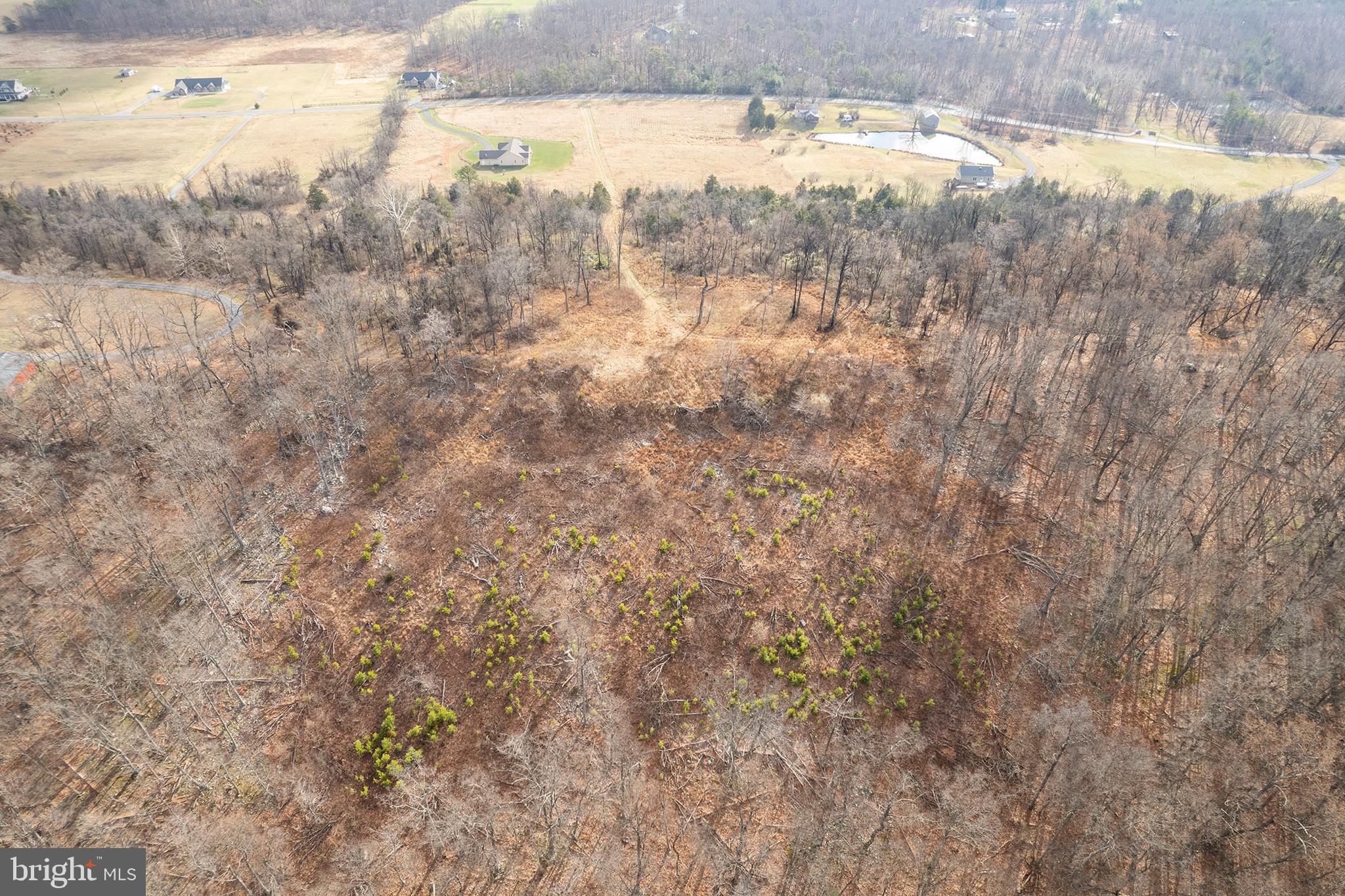 BACK MOUNTAIN RIDGE ESTATES - Land