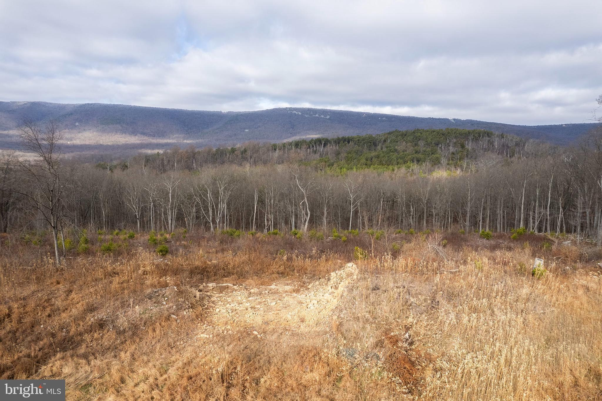 BACK MOUNTAIN RIDGE ESTATES - Land