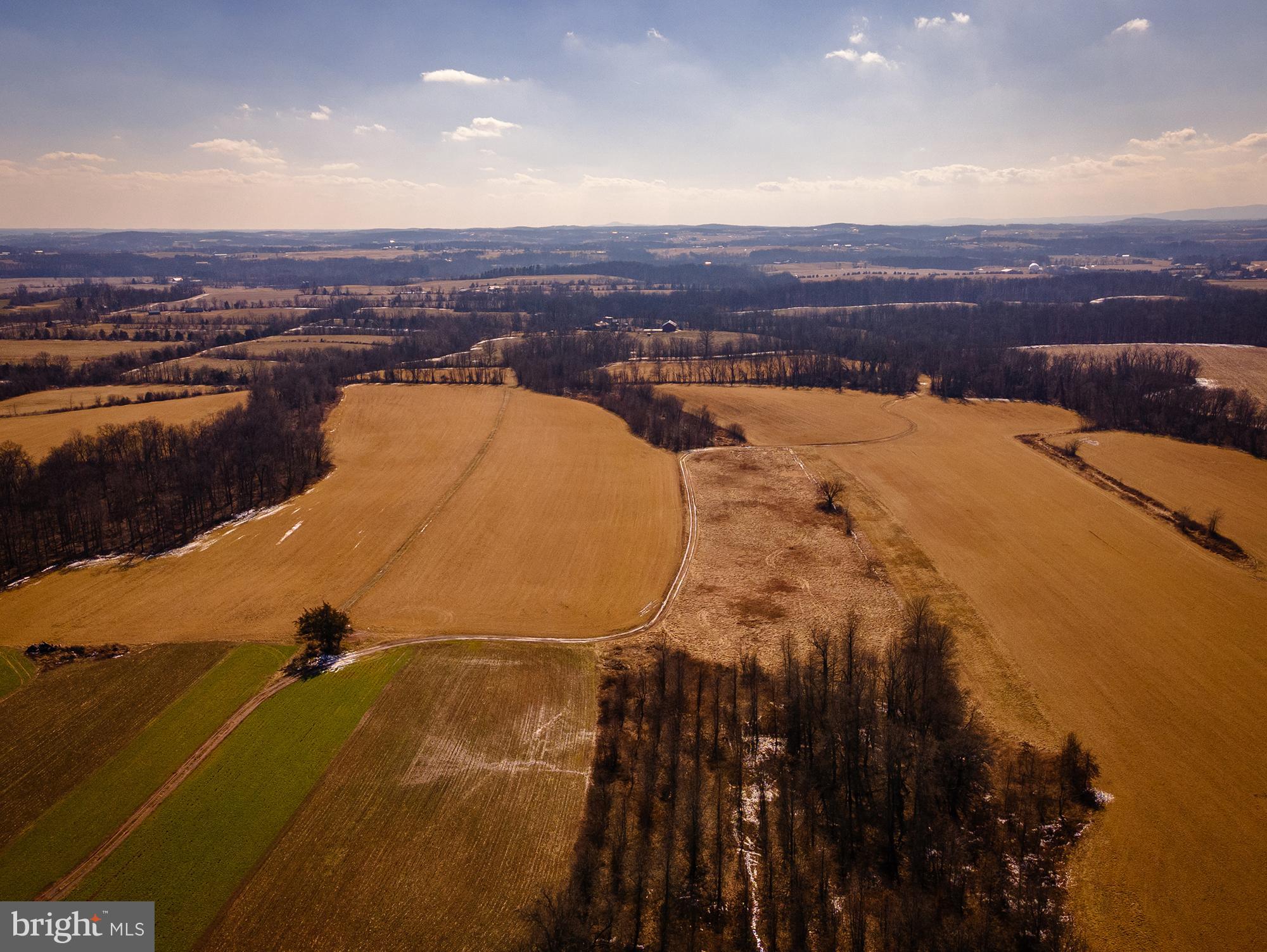 NONE AVAILABLE - Farm