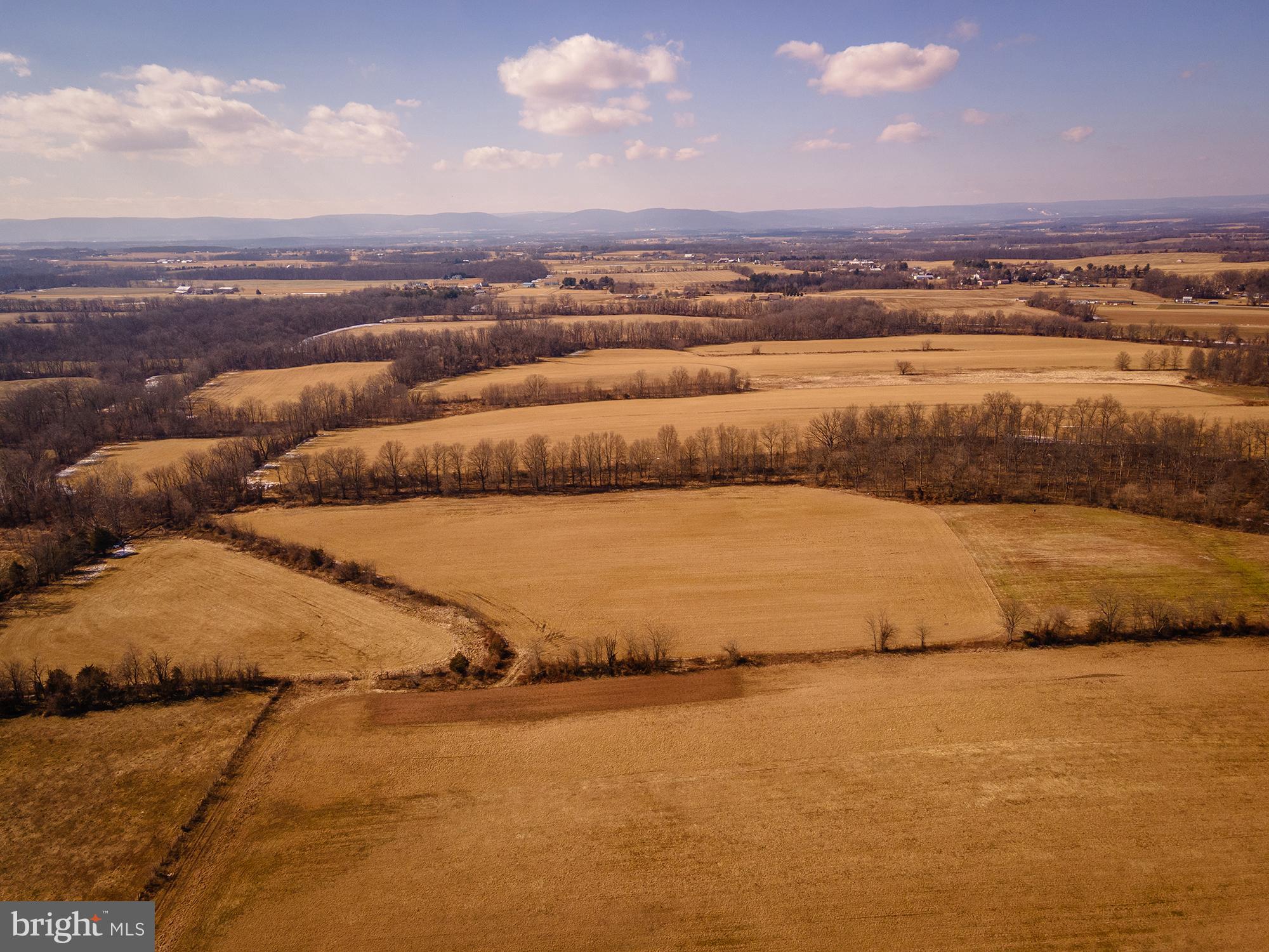 NONE AVAILABLE - Farm