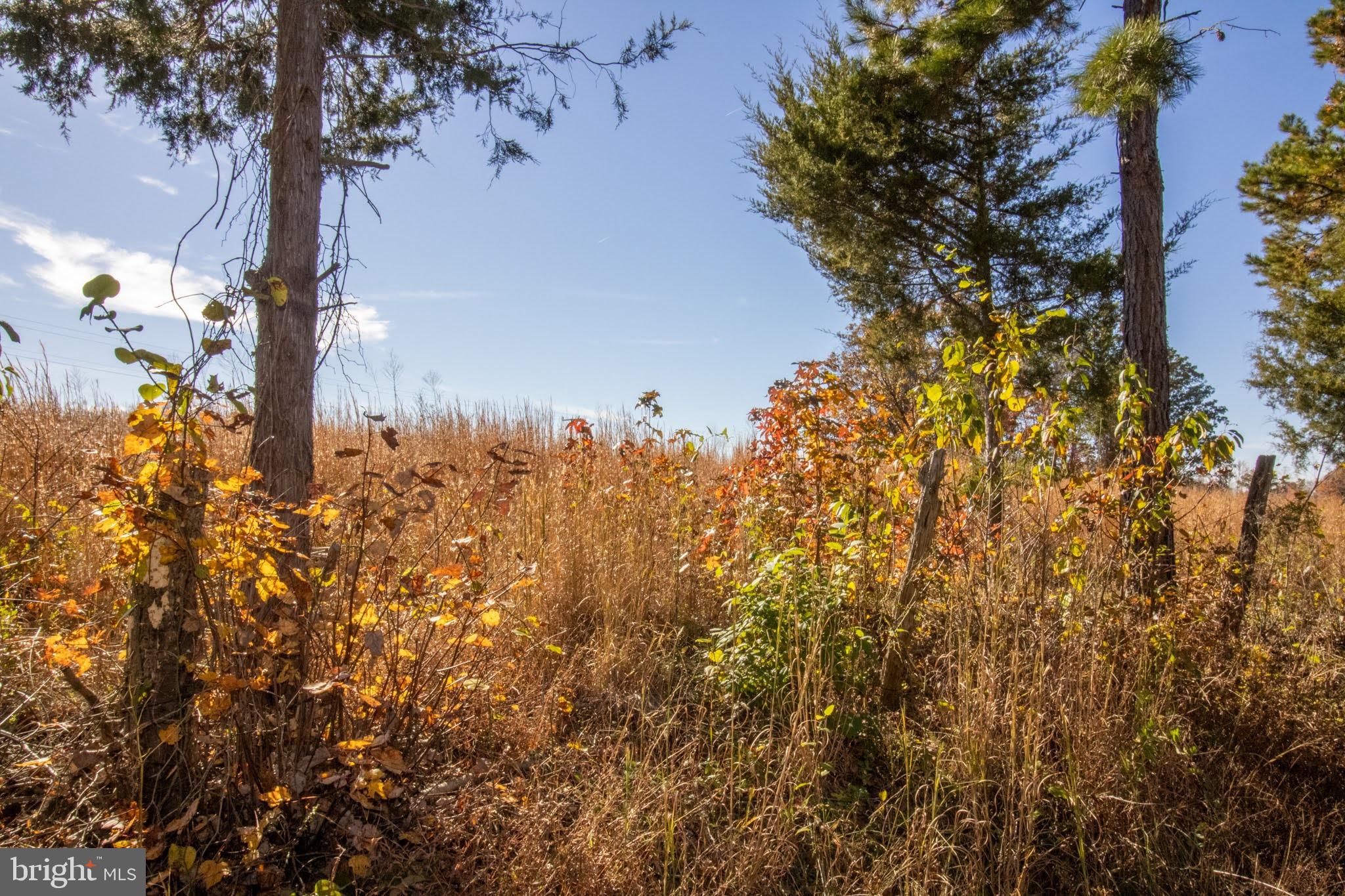 TBD PINEY GROVE ROAD 21