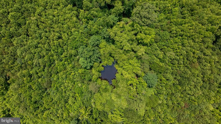 This gorgeous rural acreage tract lays well and is located just off Rt 58 between Danville and South Boston in central Virginia. With more than seven acres it’s perfect for your farmette, home to be built, or hunting getaway. The front third of the land is open and in nice pasture, and the back two-thirds is wooded. There’s even a little pond back in the trees. Need more land? No problem, there are several tracts available here to spread out on. Survey is done and soils work is ready. Owner can finance with easy terms and no credit check, and you get the deed at closing. Call for a tour today.