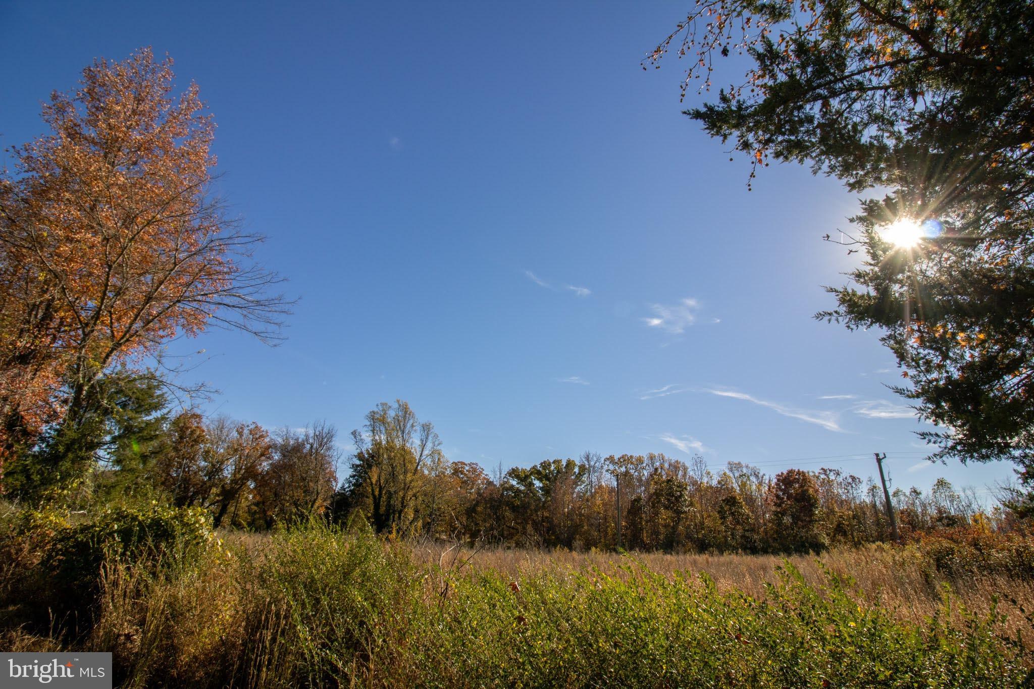 TBD PINEY GROVE ROAD 21