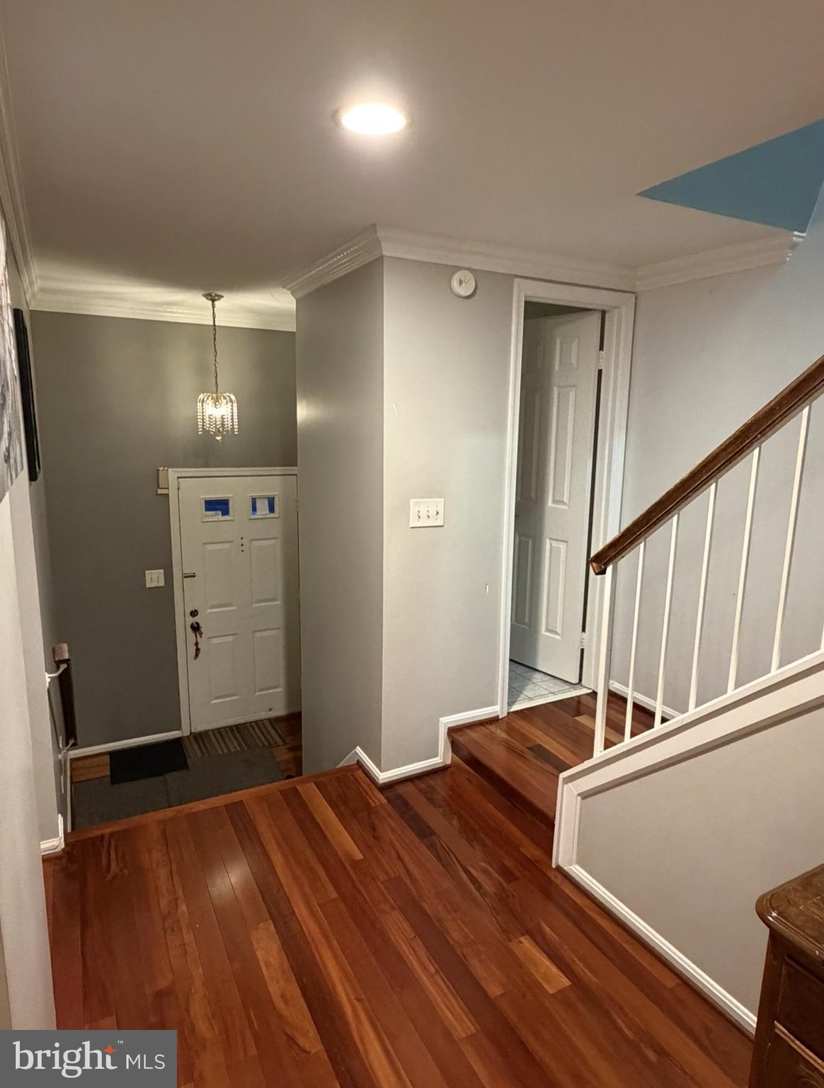 7702 JEWELWEED COURT