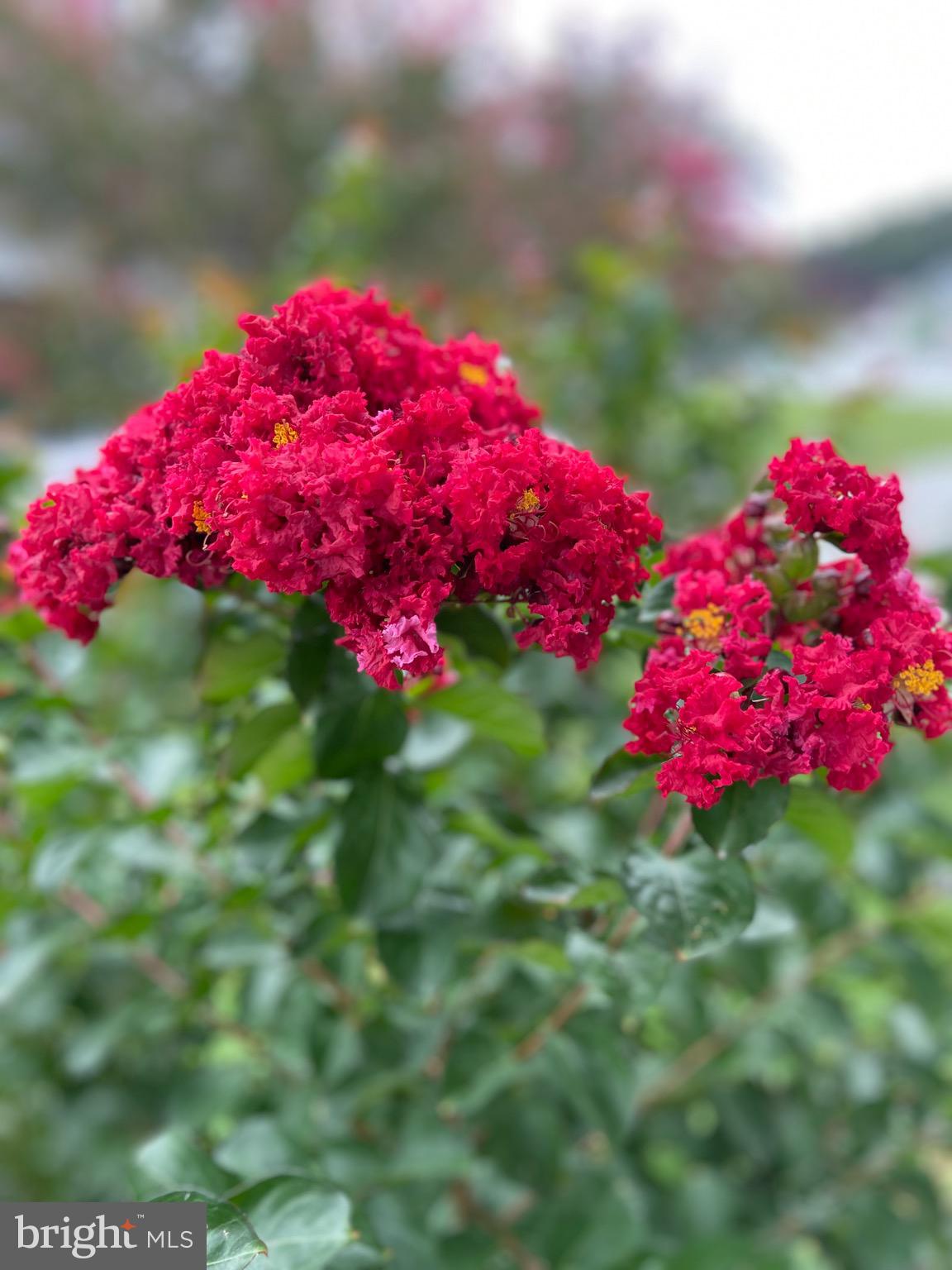 POTOMAC LANDING - Residential Lease