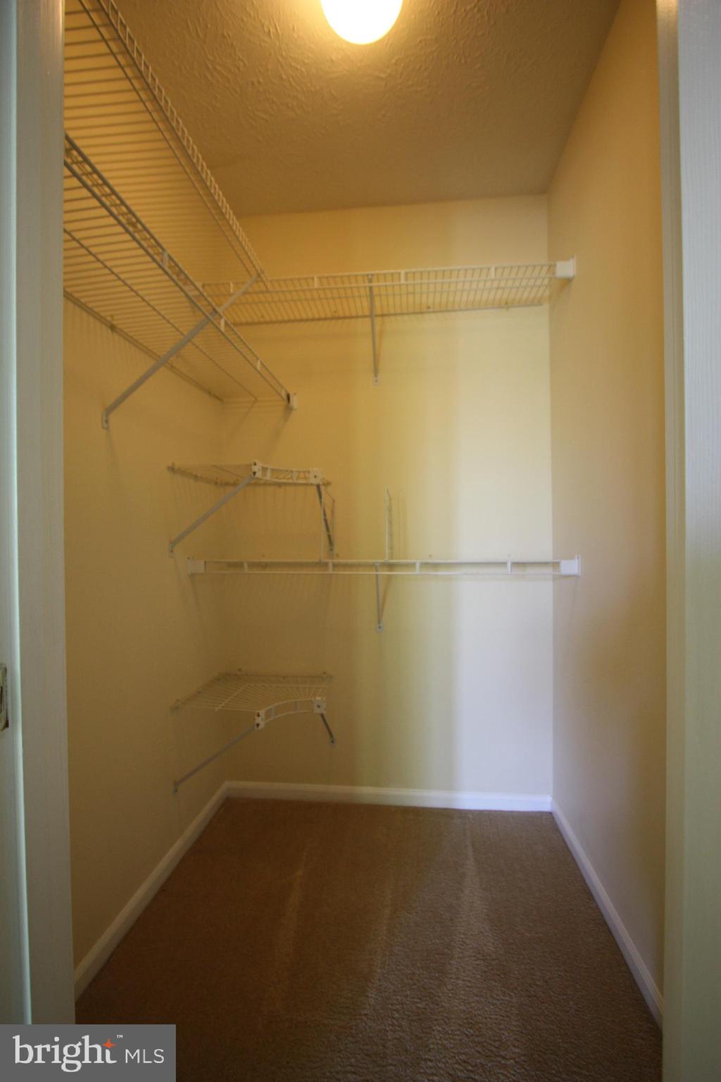 ST CLAIR - Residential Lease