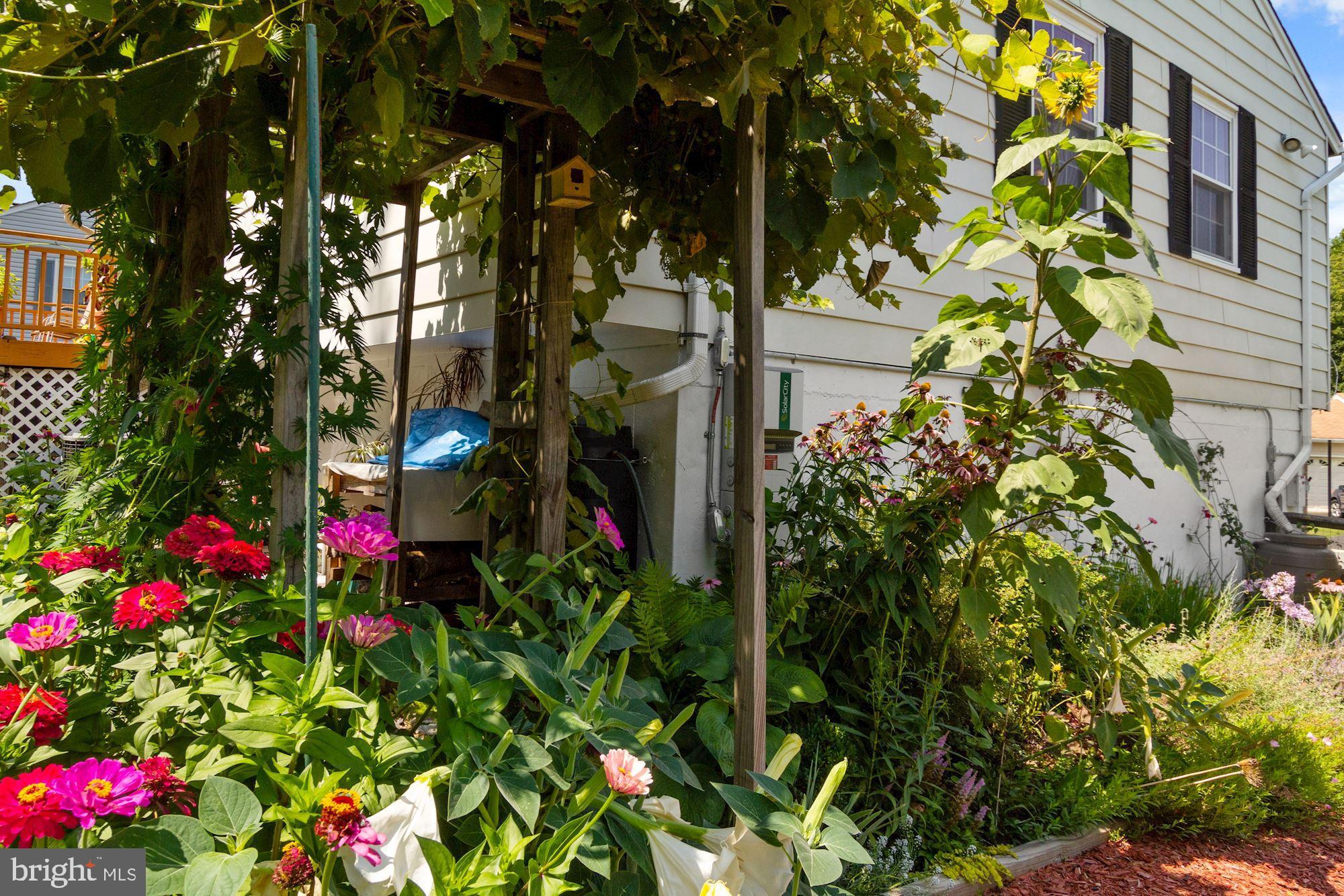 FLOWER HILL - Residential