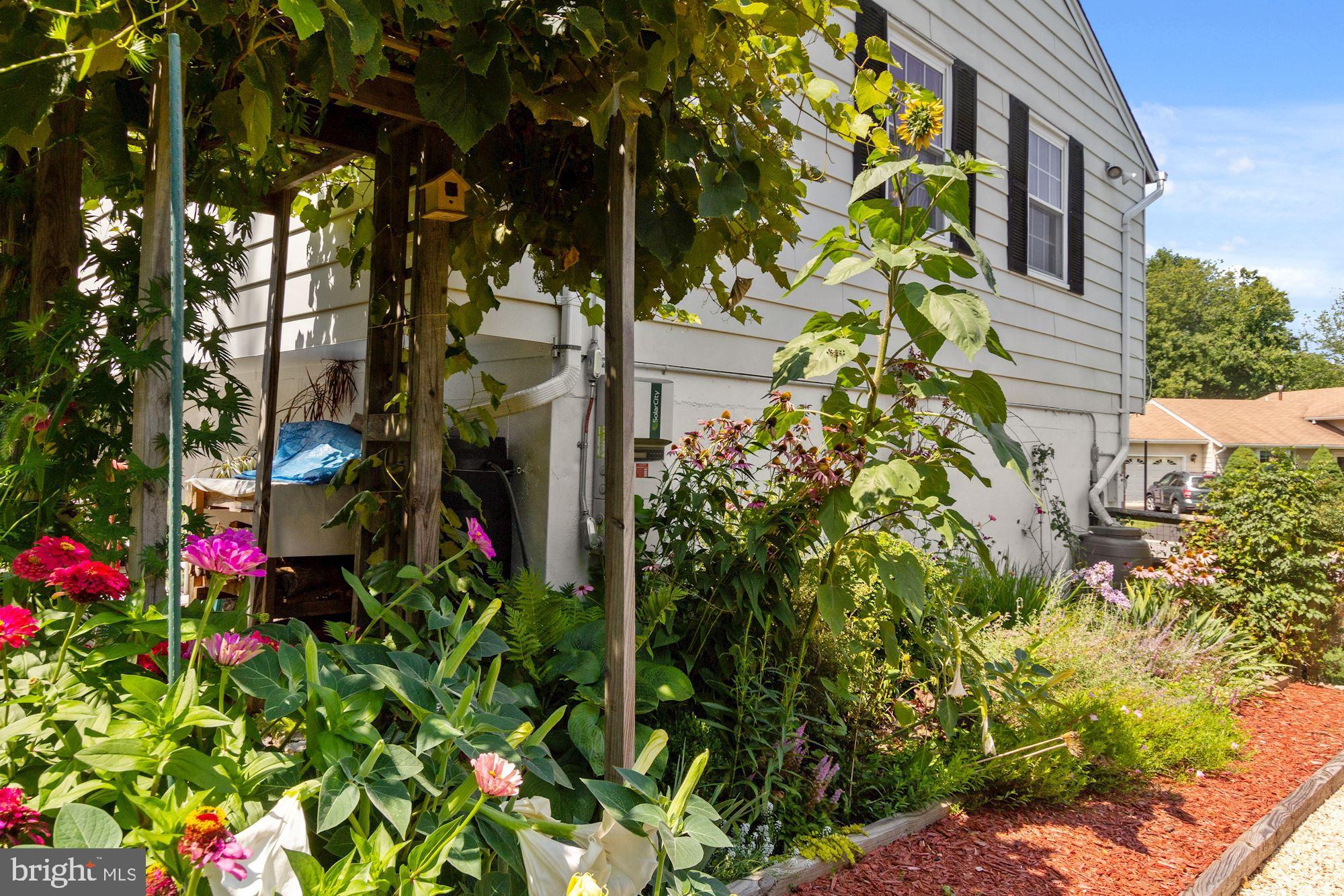 FLOWER HILL - Residential