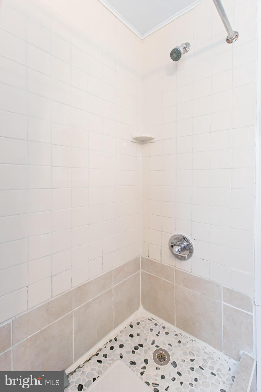 PROSPECT HEIGHTS - Residential