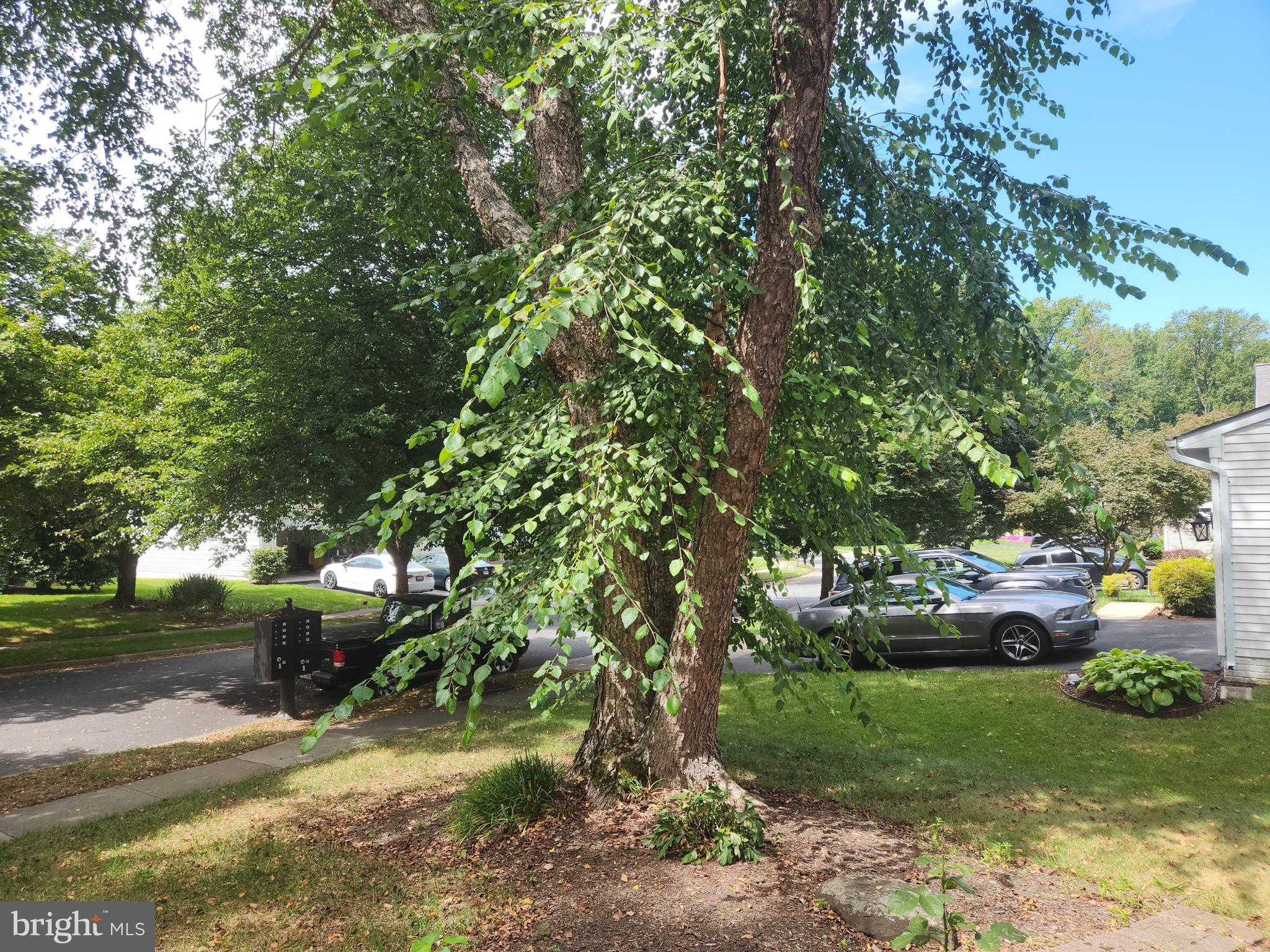 CHAPMAN FARM AT CROFTON - Residential