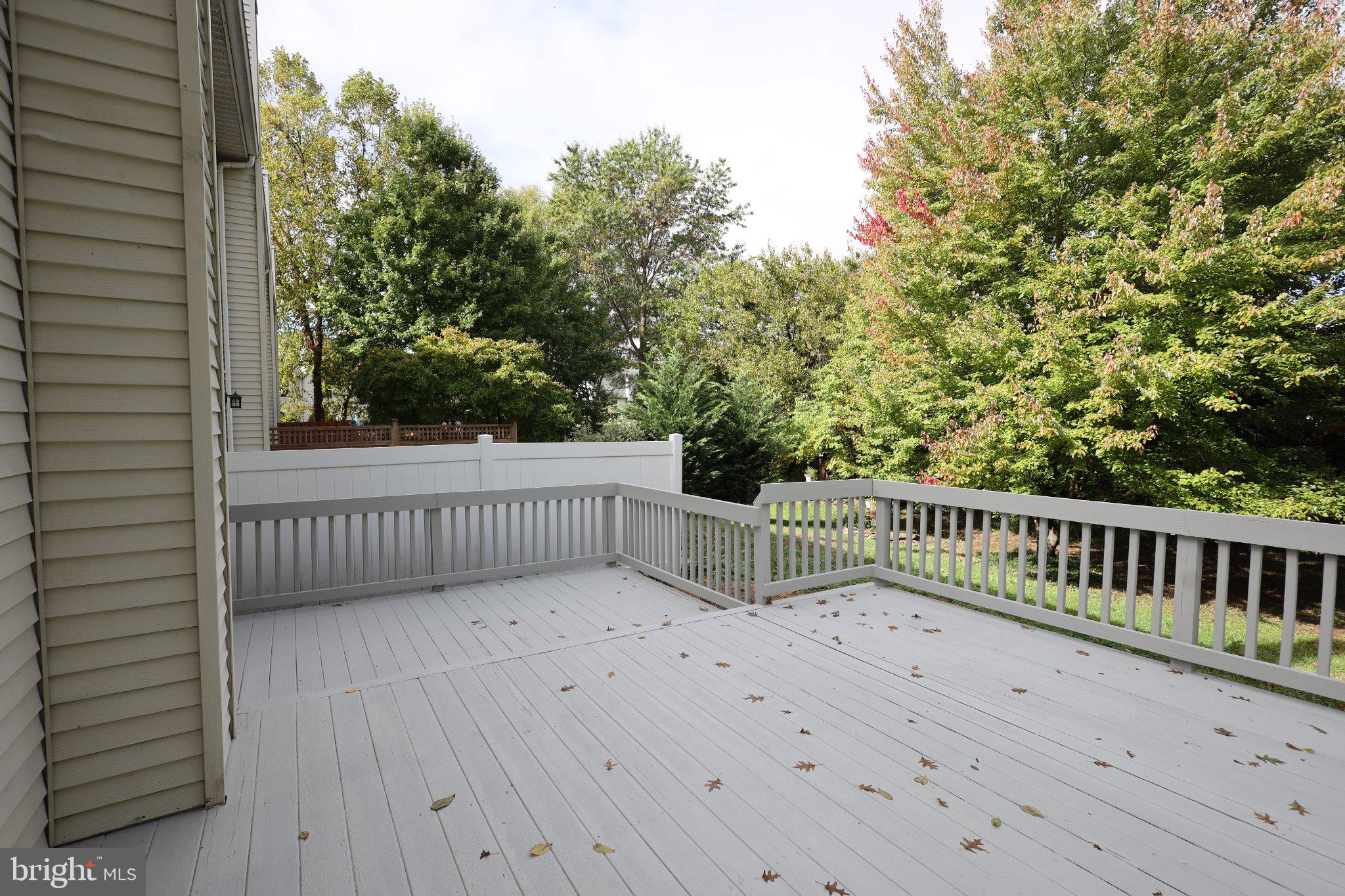 6196 MOUNTAIN LAUREL COURT