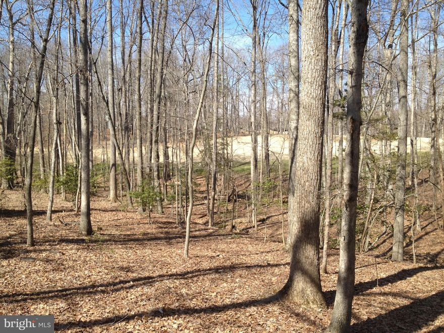 Golf course lot in beautiful gated lake and golf community.  Natl. parkland across the street.  Quiet, dead end street.  Conducive for basement.  Plat available.  Community has 2 lakes, 18 hole golf course with golf club, 2 pools, multiple parks, soccer field, tennis, clubhouse/restaurant, fire and rescue, exercise room, gate entrance, place of worship, riding stables, beaches, walking trails.