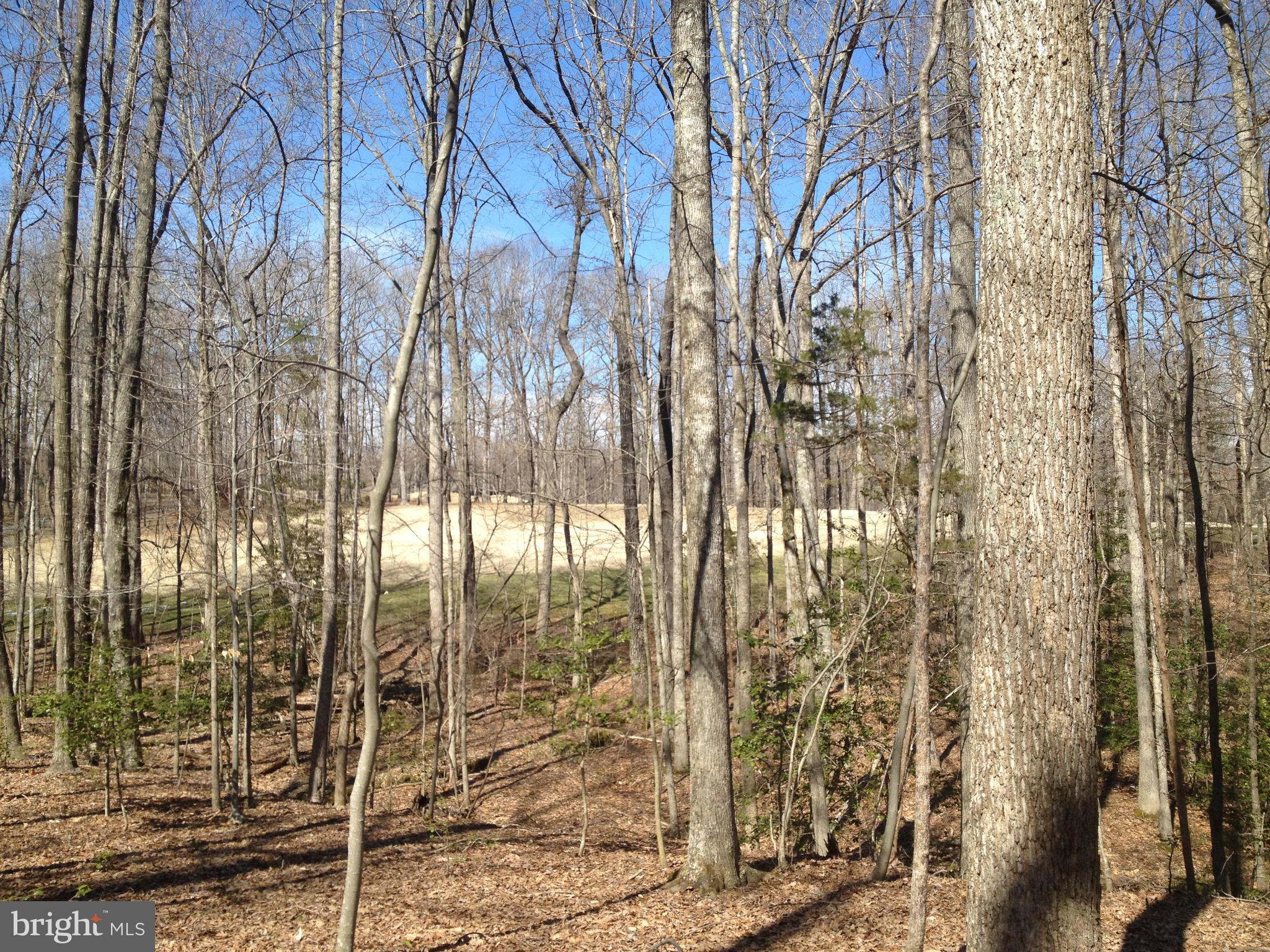 LAKE OF THE WOODS - Land