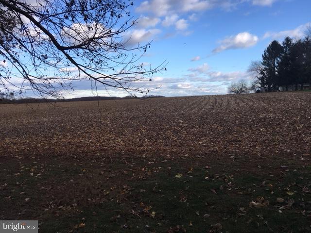 SPRINGFIELD TWP - Land