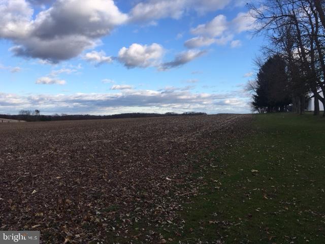 SPRINGFIELD TWP - Land