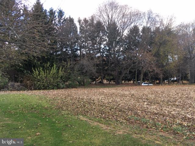 SPRINGFIELD TWP - Land