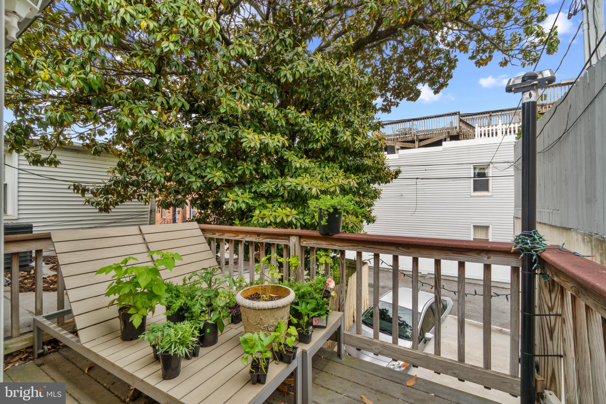 BUTCHERS HILL - Residential