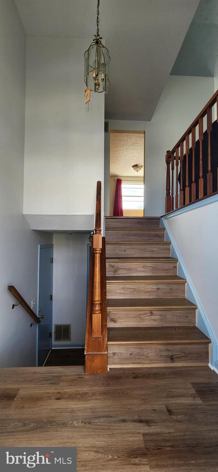 SADDLE CREEK - Residential Lease