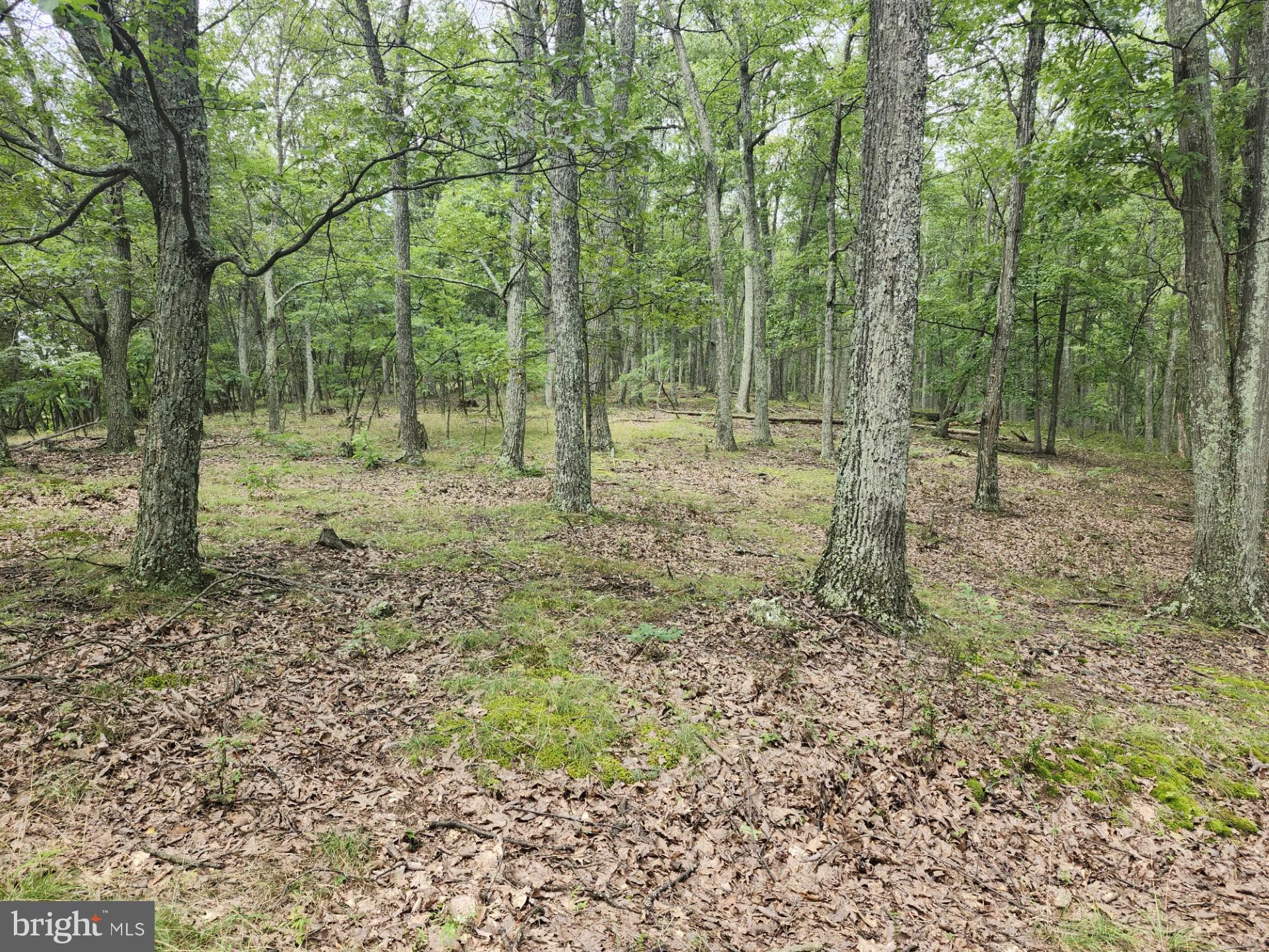 NONE UNRESTRICTED - Residential