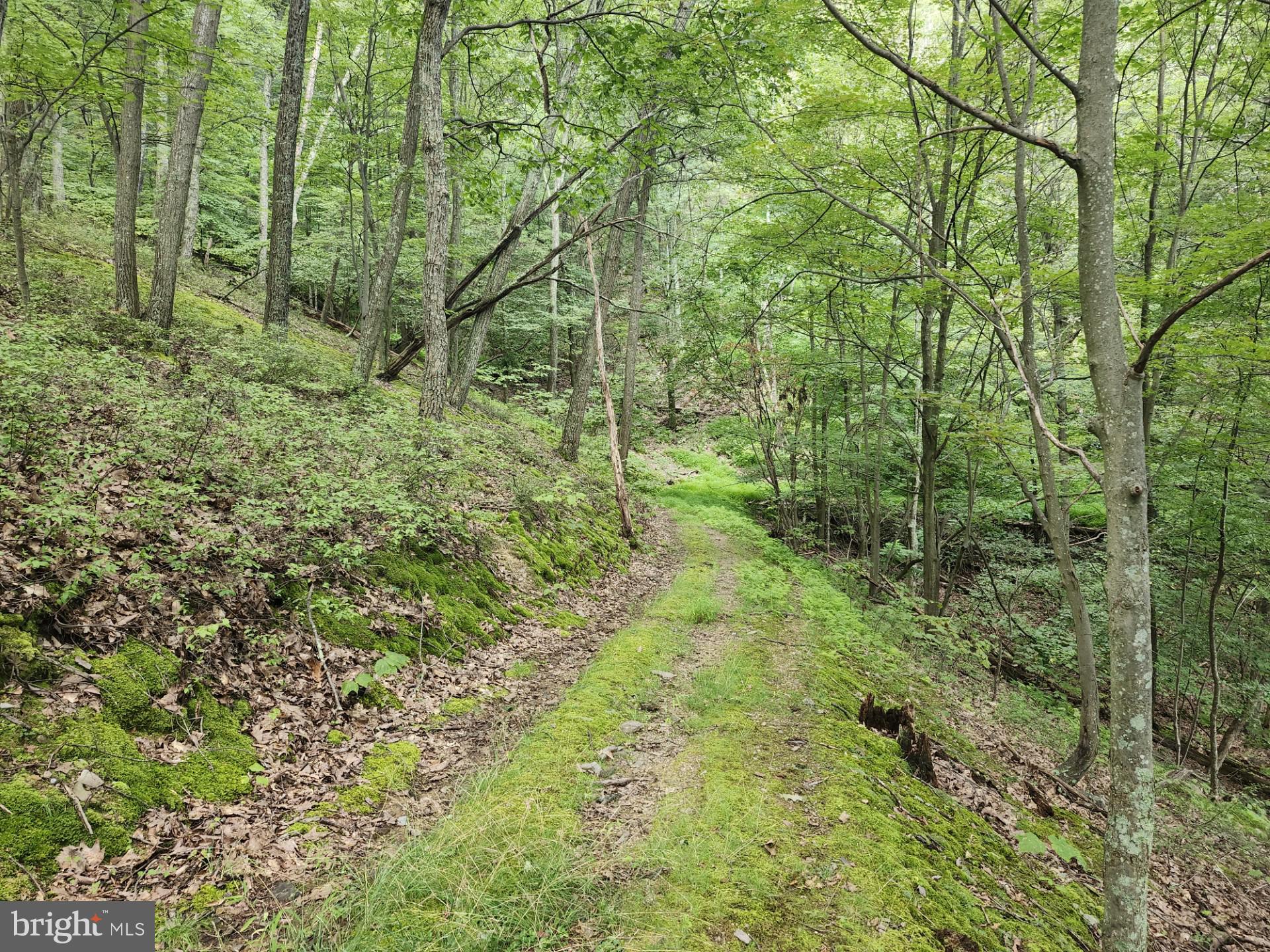 NONE UNRESTRICTED - Residential