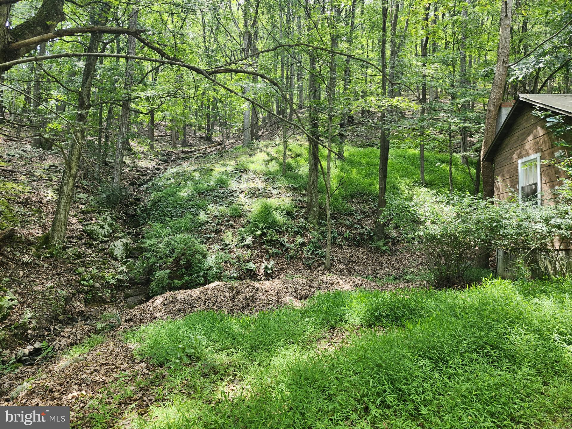 NONE UNRESTRICTED - Residential